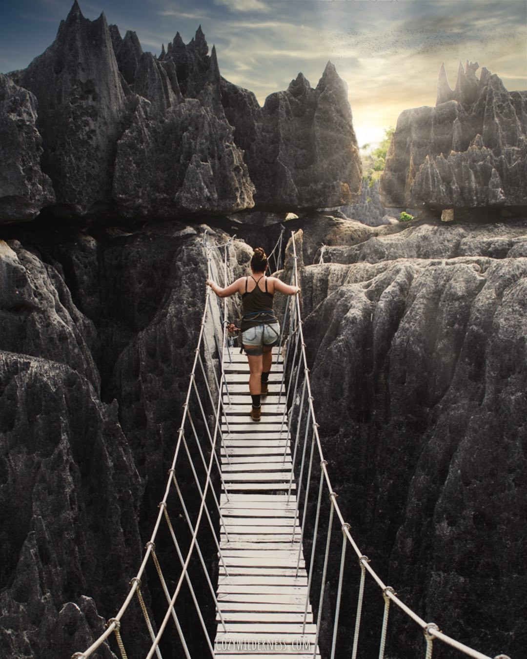 Tsingy de Bemaraha suspension bridge