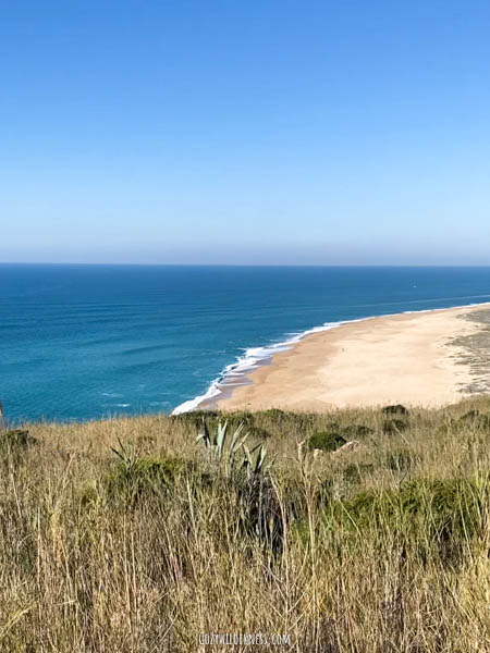 View over Nazaré Beach