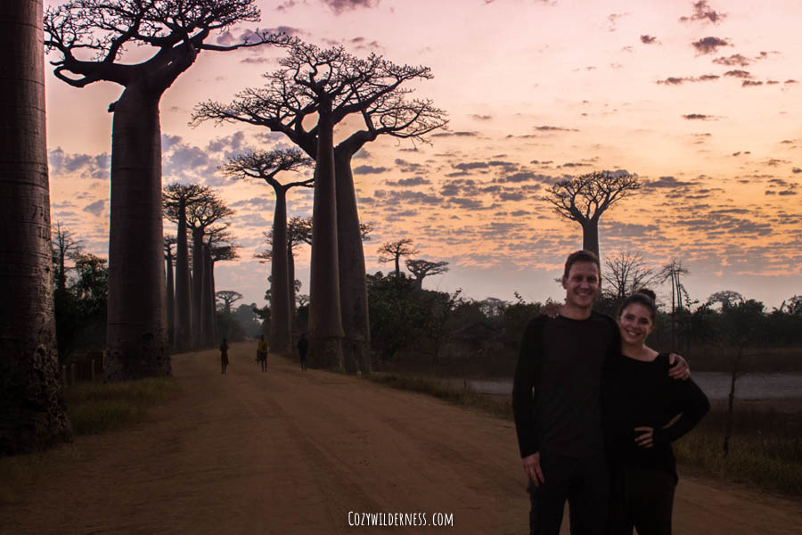 Allee de baobabs Madagascar