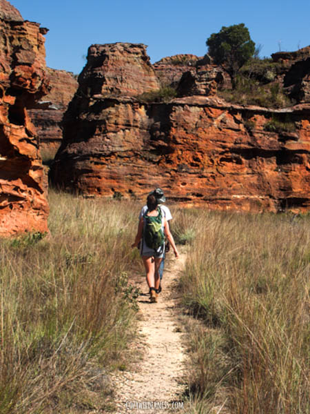 Guide taking us through the red rocks landscape in Isalo Madagascar road trip